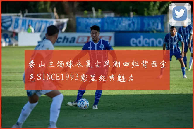 泰山主场球衣复古风潮回归背面金色SINCE1993彰显经典魅力